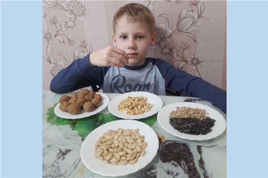 Польза и вред семечек и орехов