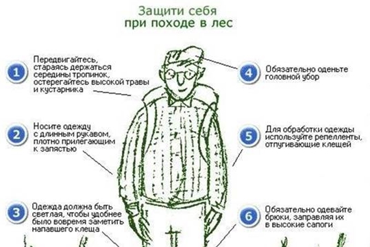 Инструктаж – беседа с детьми и их родителями «Осторожно, клещи!»