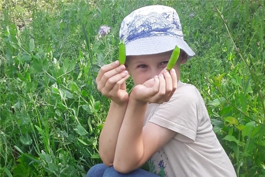 Полезная "зелёная" еда