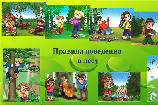 Правила безопасности в лесу. Одевайте в лес одежду ярких цветов, желательно со светоотражающими элементами. Не отпускайте престарелых людей и детей в лес без сопровождающих. Не ходите по лесу поодиночке: возьмите с собой компаньона или собаку. Всегда имейте при себе запас питьевой воды.