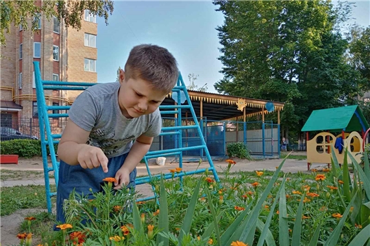 Польза цветов
