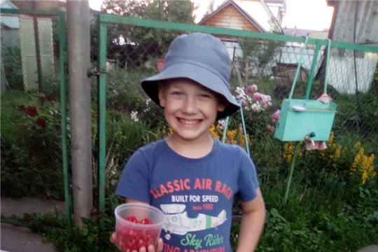 Полезная земляника