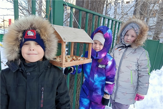 Акция "Покормите птиц зимой".