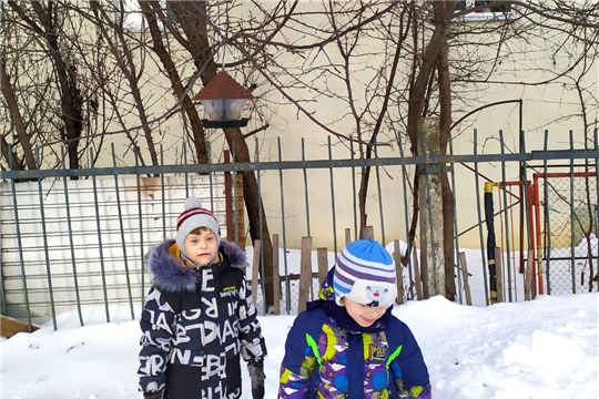 "Покормите птиц зимой"