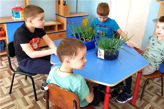 Зеленый лук.
