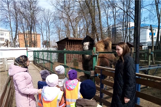 Экскурсия в ковчег в парке А. Николаева