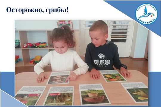 Осторожно грибы