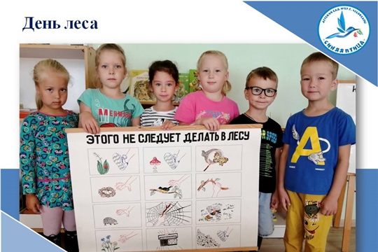 День леса