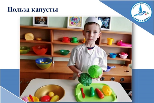 Польза капусты
