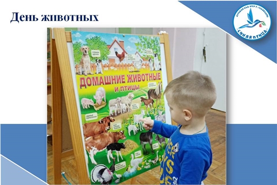 День животных