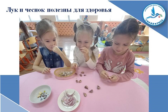 Лук и чеснок полезны для здоровья
