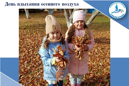 День вдыхания осеннего воздуха