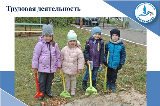 Трудовая деятельность