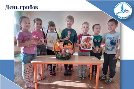 День грибов