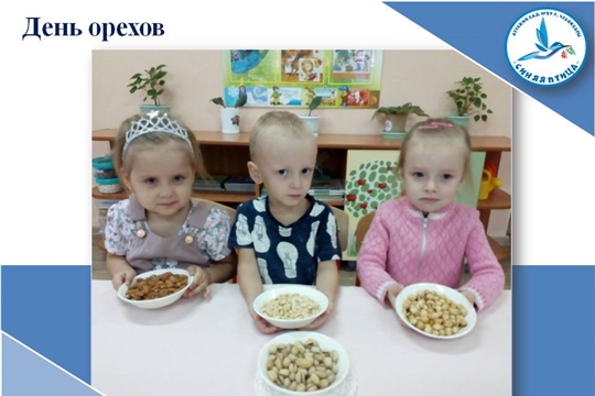 День орехов