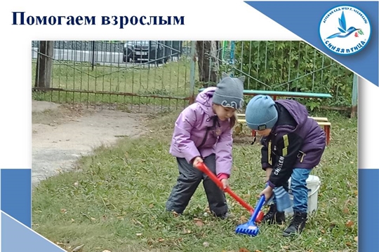 Помогаем взрослым