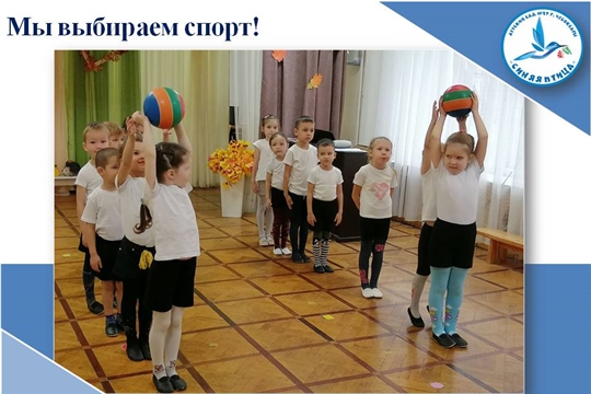 Мы выбираем спорт