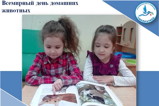 Всемирный день домашних животных