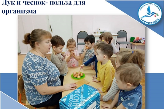 Чеснок и лук- польза для организма