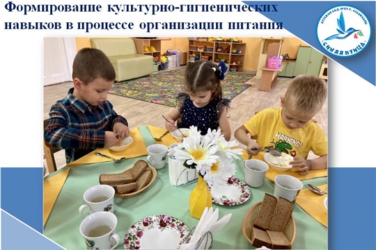Формирование культурно-гигиенических навыков в процессе организации питания