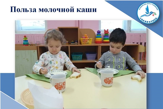 Польза молочной каши