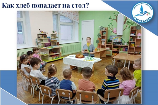 Как хлеб попадает на стол?