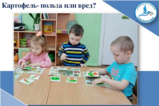 Картофель- польза или вред?