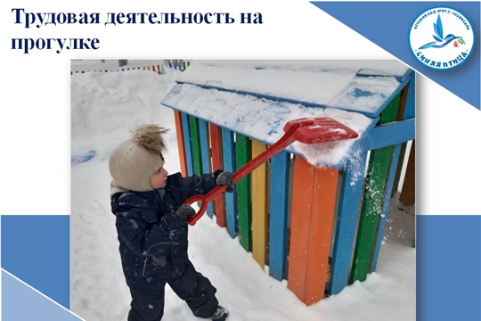 Трудовая деятельность на прогулке