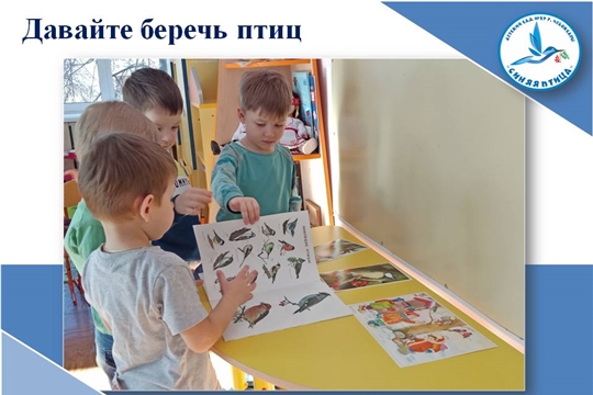 Давайте беречь птиц
