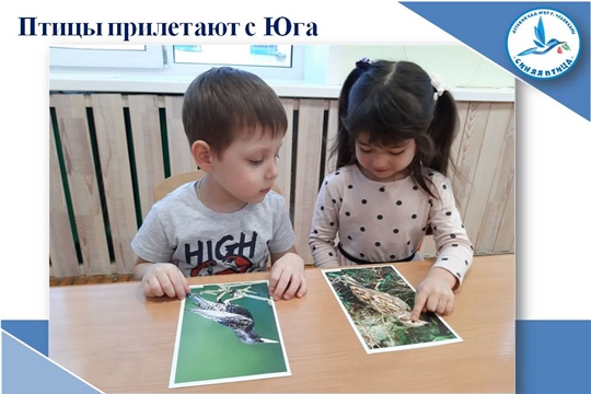 Птицы прилетают с Юга