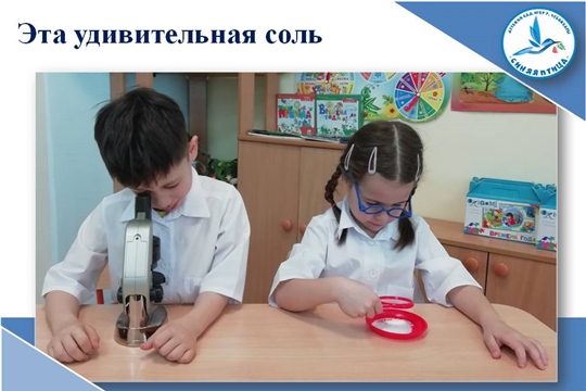 Эта удивительная соль