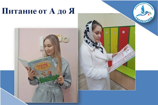Питание от А до Я
