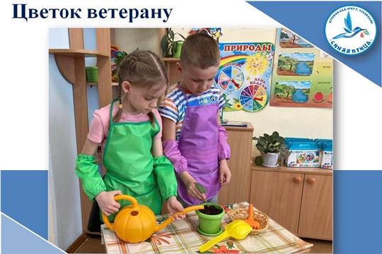 Цветок ветерану