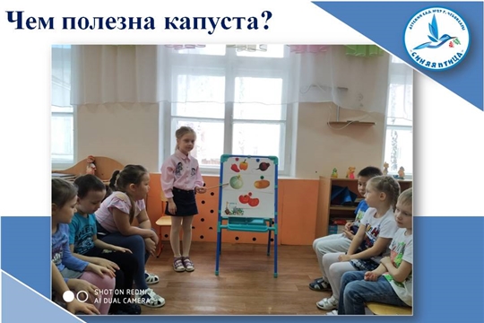 Чем полезна капуста?