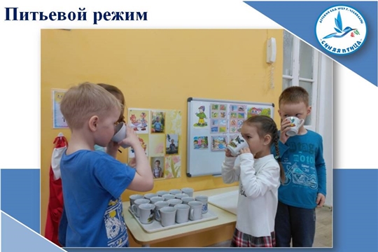 Питьевой режим