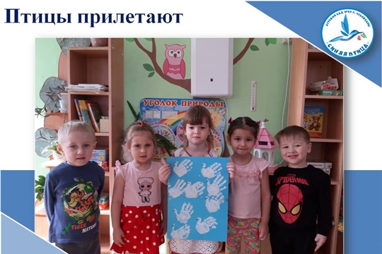 Птицы прилетают