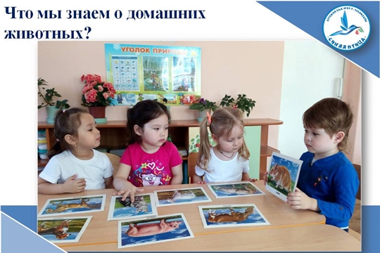 Что мы знаем о домашних животных?