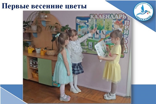 Первые весенние цветы