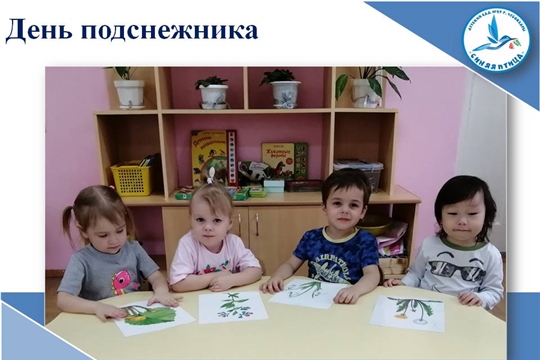 День подснежника