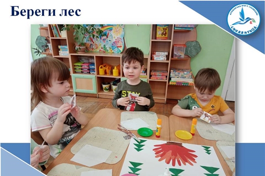 Береги лес