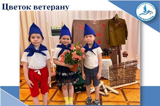 Цветок ветерану