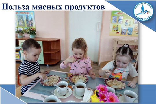 Польза мясных продуктов