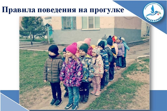 Правила поведения на прогулке