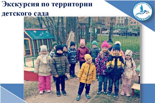 Экскурсия по территории детского сада