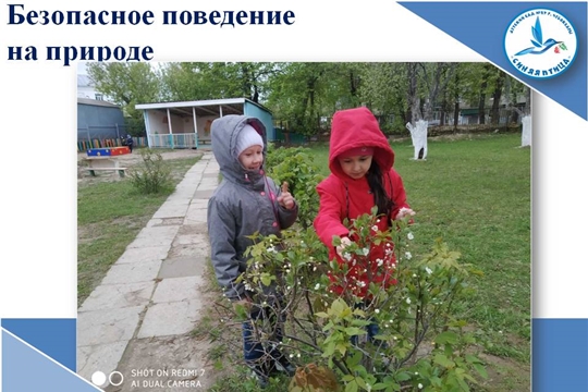 Безопасное поведение на природе