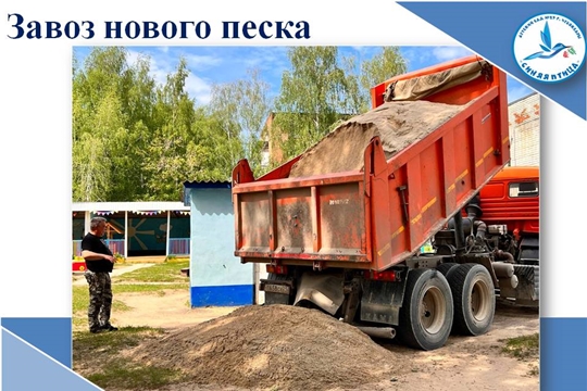 Завоз нового песка