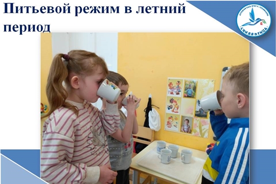 Питьевой режим в летний период