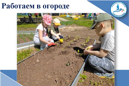 Работаем в огороде