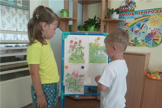 Ядовитые растения, грибы и ягоды