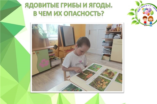 Ядовитые грибы и ягоды. В чем их опасность?